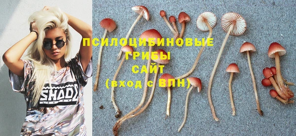 MESCALINE Богданович